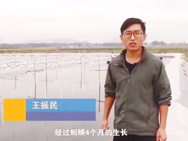 九五至尊VI收获流程